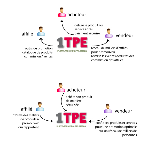 schema: affiliation 1TPE